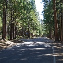 DSC04554