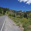 DSC04604