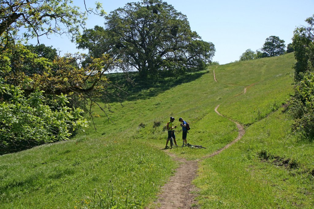 DSC01766