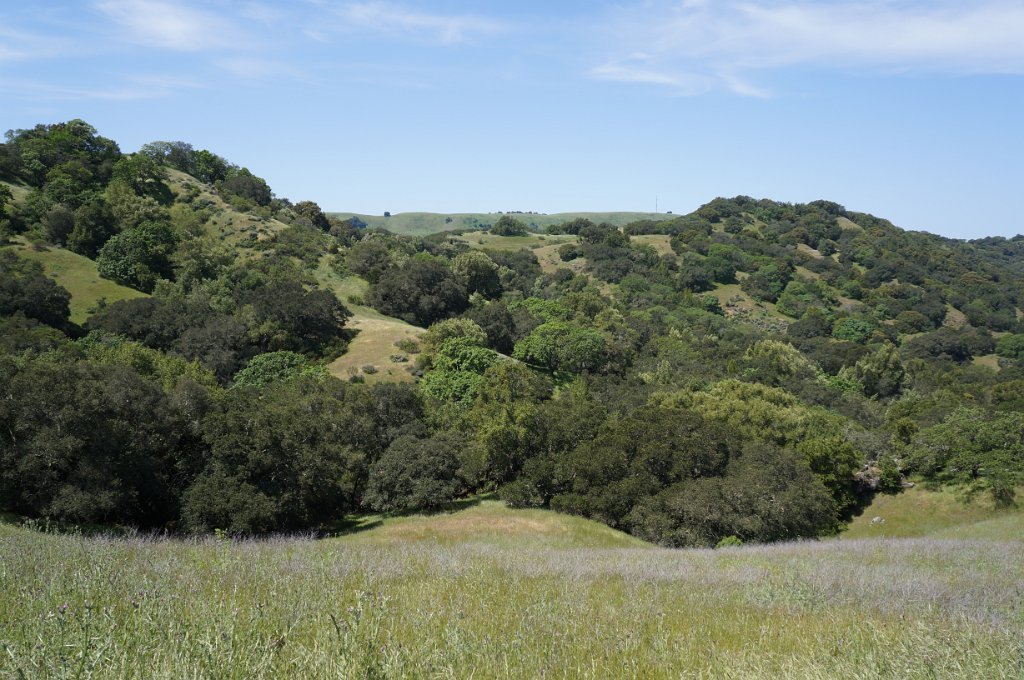 DSC01800