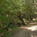 DSC01758