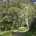 DSC01760
