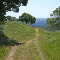 DSC01770