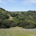 DSC01800