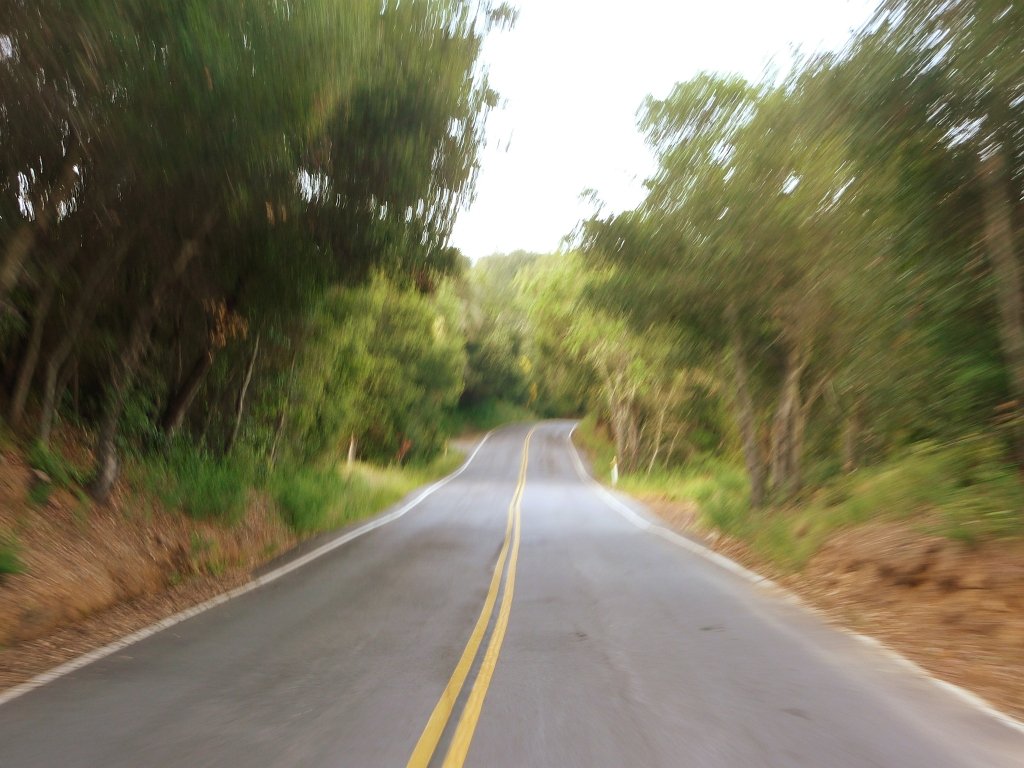 P1010588
