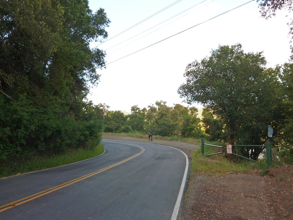 P1010591