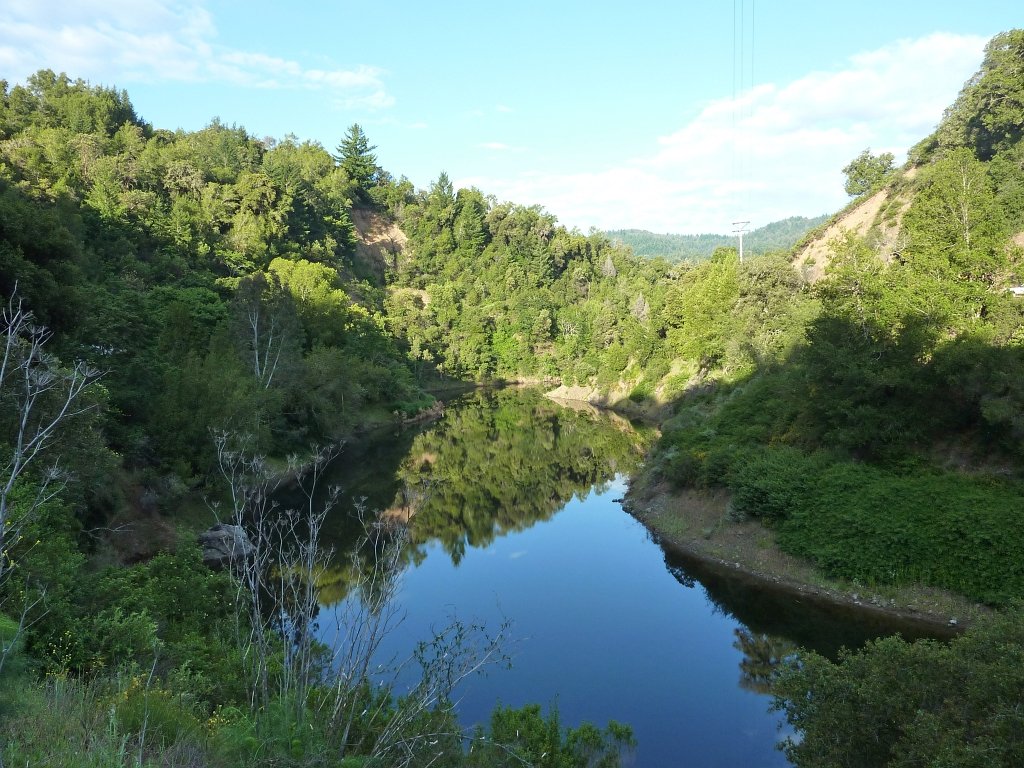P1010598