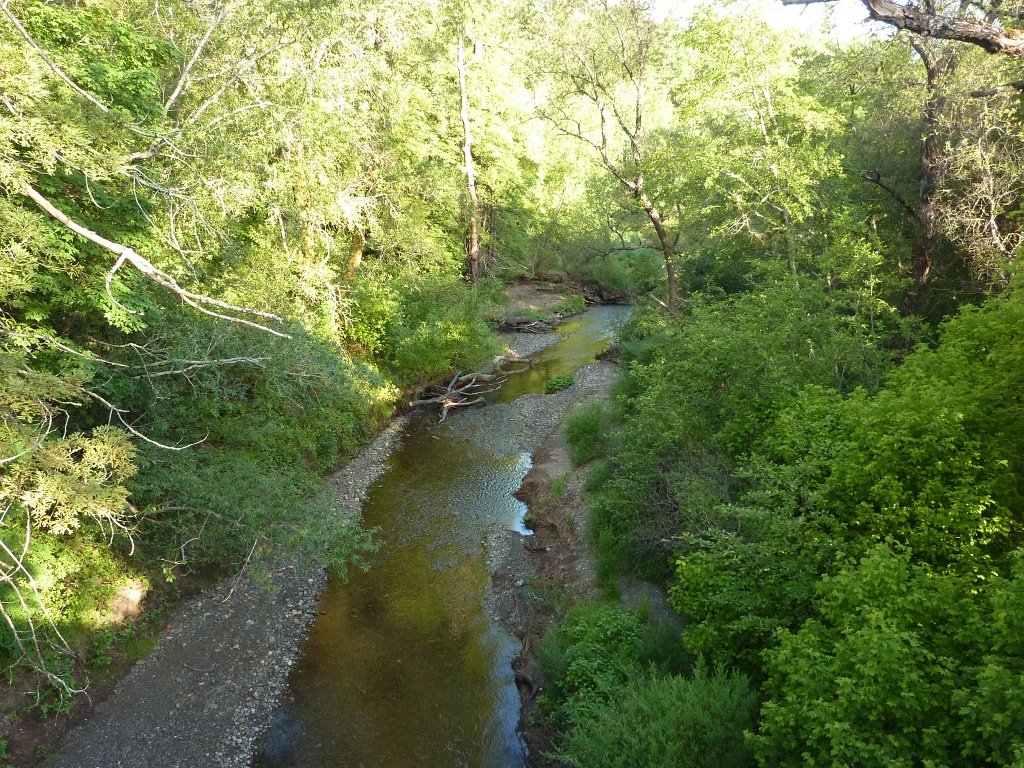 P1010604