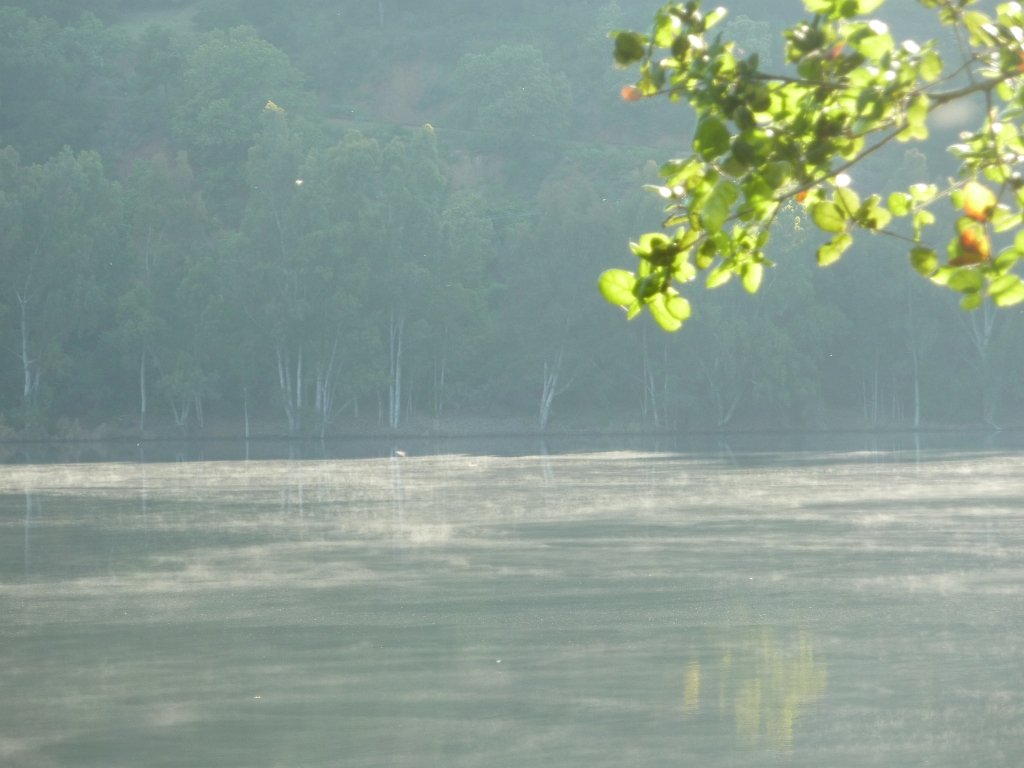 P1010607