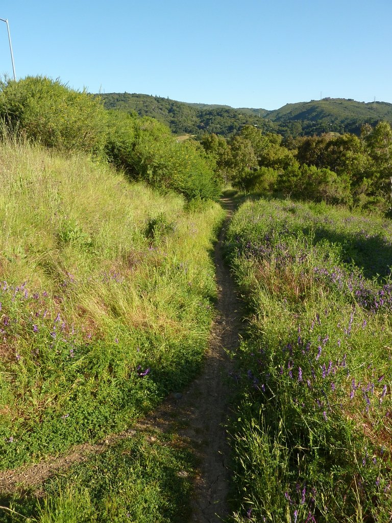 P1010613