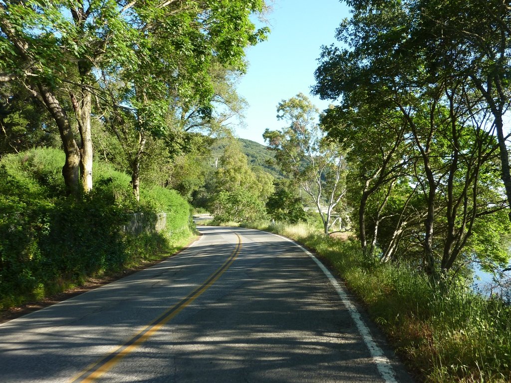 P1010618