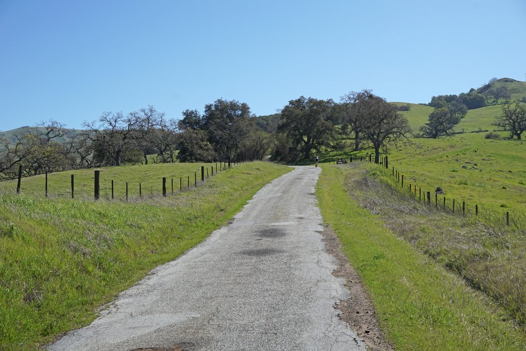 DSC03709