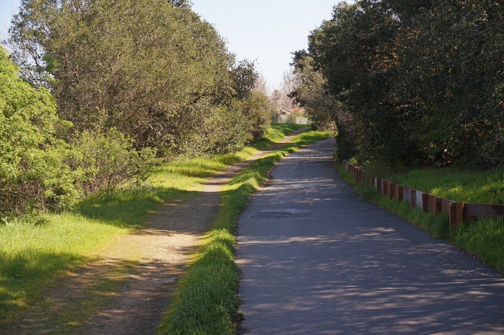 DSC04898