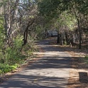 DSC04858