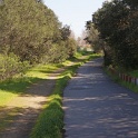 DSC04898