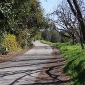 DSC04902