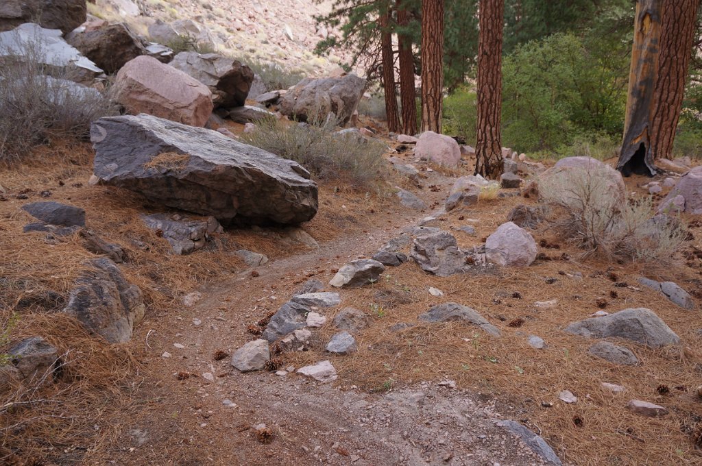 DSC09950