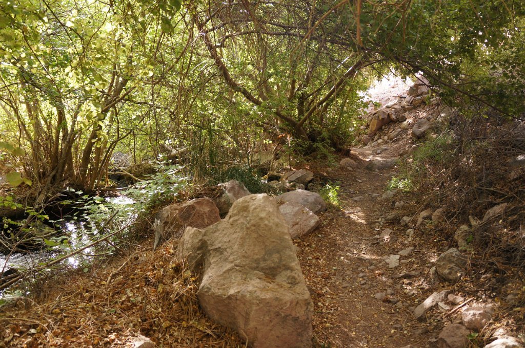 DSC09968