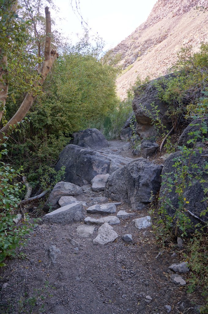 DSC09972