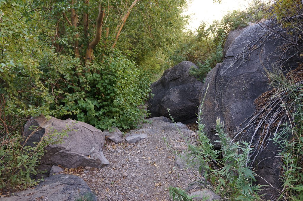 DSC09975