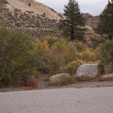 DSC09910