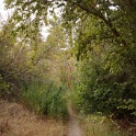 DSC09941