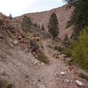 DSC09944