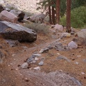 DSC09950