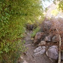 DSC09970