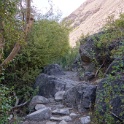 DSC09972