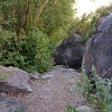 DSC09975