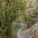 DSC09978