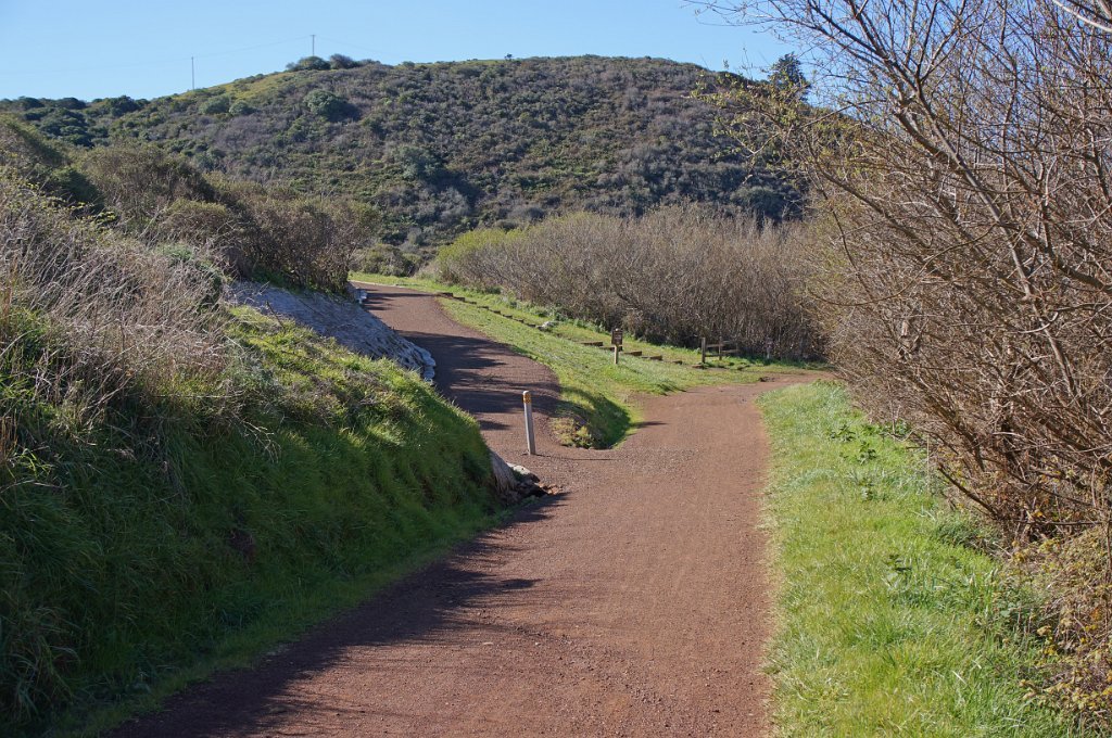DSC04703