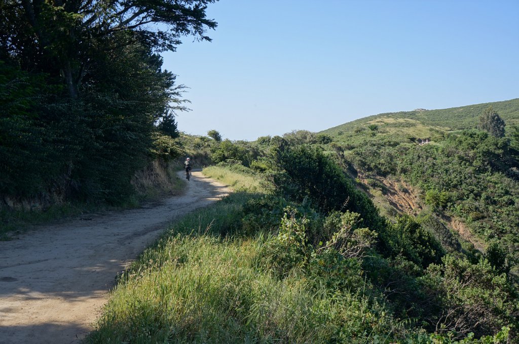 DSC05810