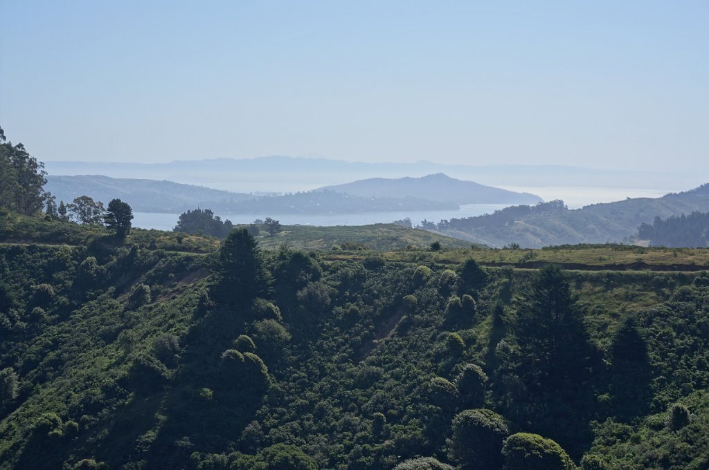 DSC05819
