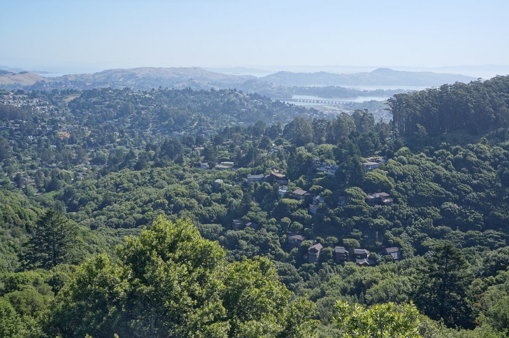 DSC05826