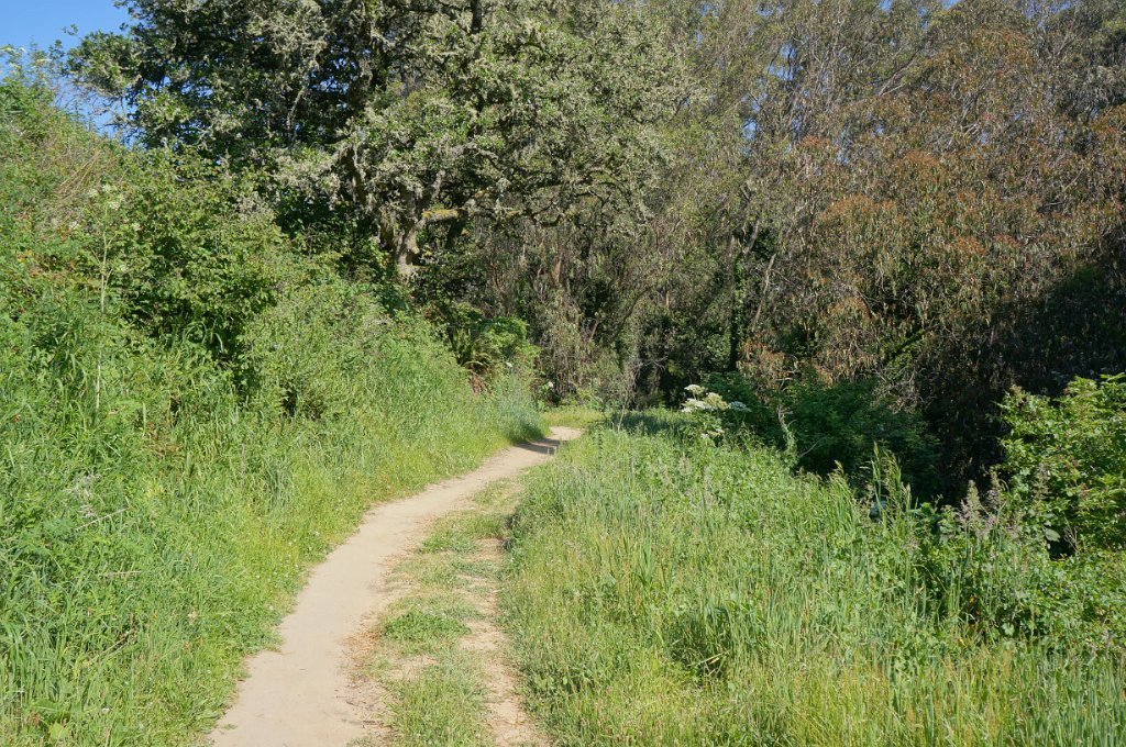 DSC05828