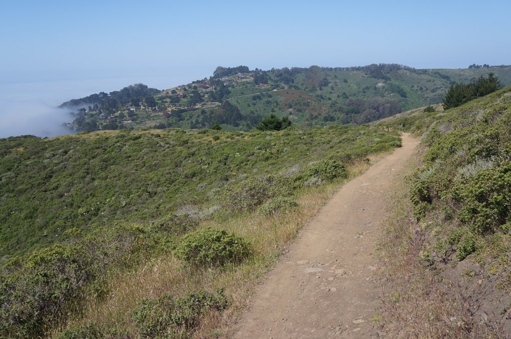DSC05852