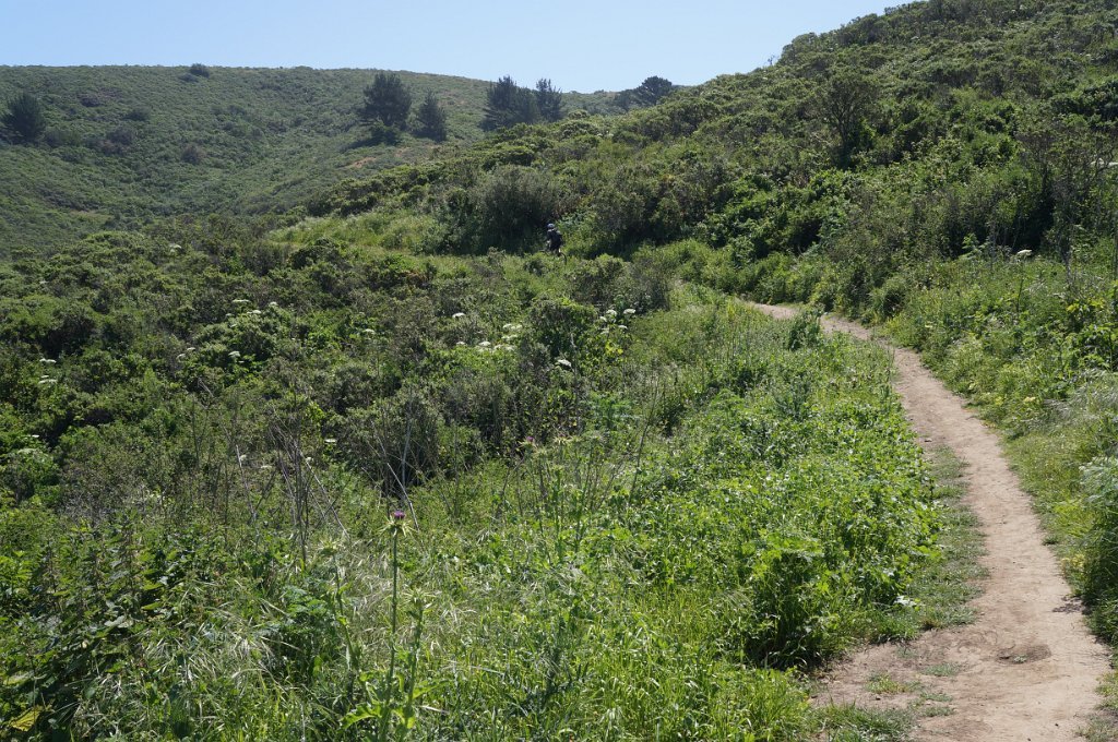 DSC05899