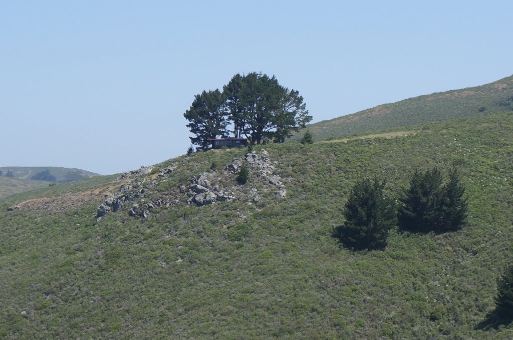 DSC05903