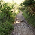 DSC05773
