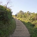 DSC05775