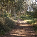 DSC05806