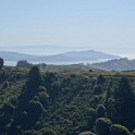 DSC05819
