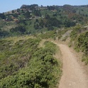 DSC05858