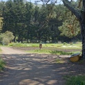 DSC05887