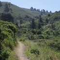 DSC05888