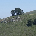 DSC05903
