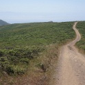 DSC05923