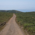 DSC05924
